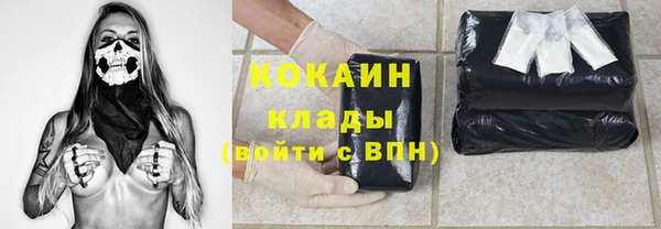 твердый Михайловка