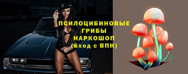 твердый Михайловка