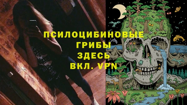 твердый Михайловка