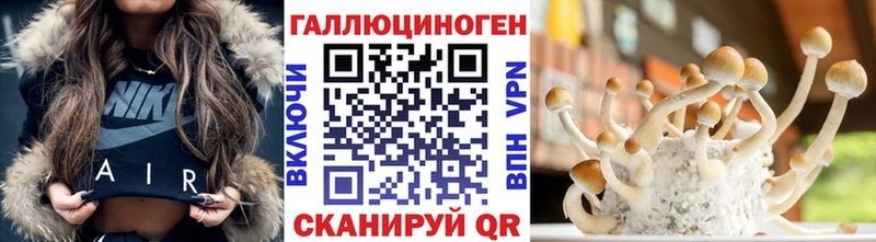 закладки  мега рабочий сайт  Псилоцибиновые грибы Cubensis  Новотроицк 