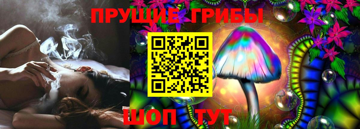 Новотроицк  Галлюциногенные грибы Psilocybe  Вход с VPN 